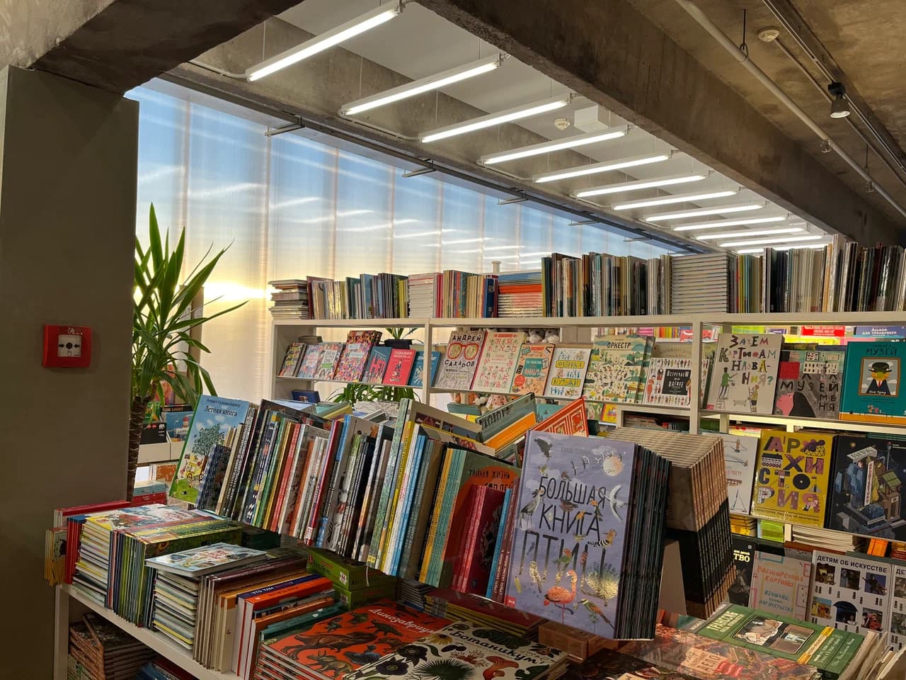 Garage Bookshop
